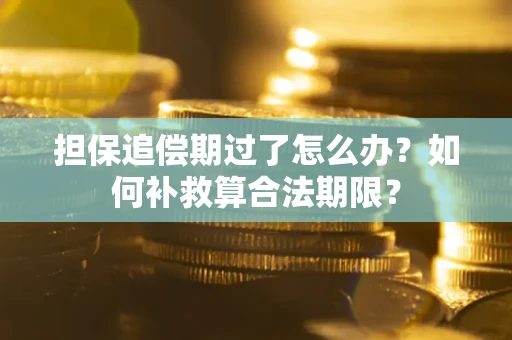 济南担保追偿期过了怎么办？如何补救算合法期限？