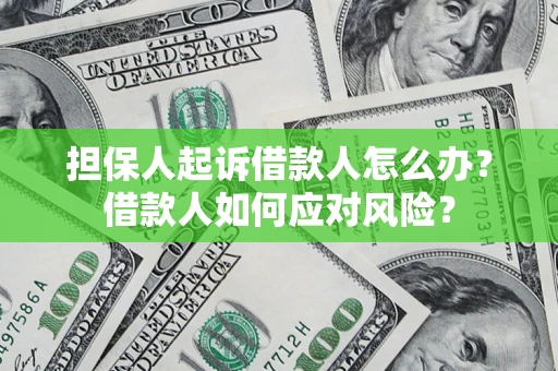 济南担保人起诉借款人怎么办？借款人如何应对风险？